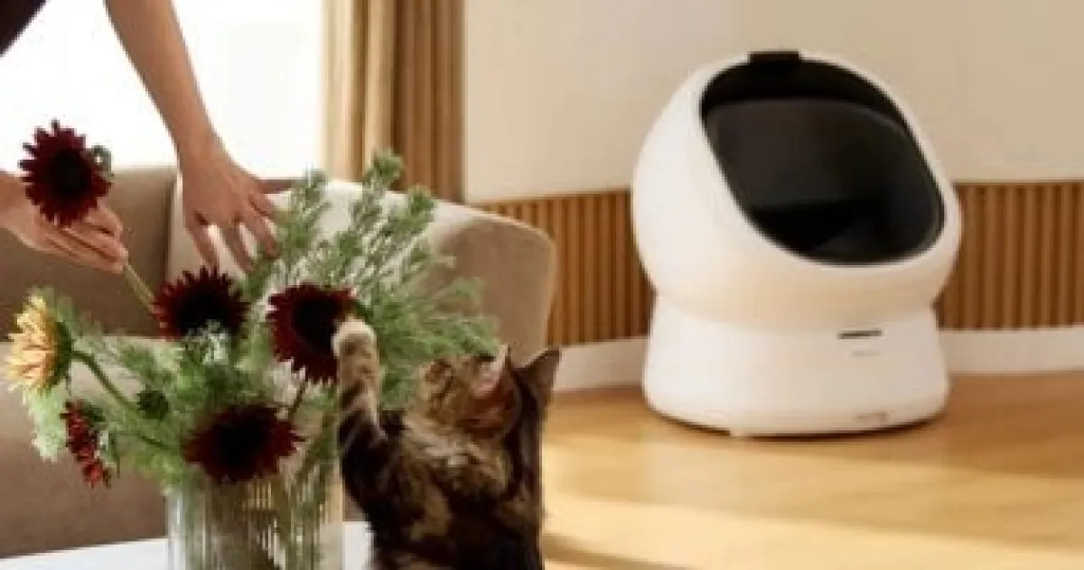 صندوق فضلات ذكي بتقنية الذكاء الاصطناعي لمراقبة صحة قطتك لحظة بلحظة