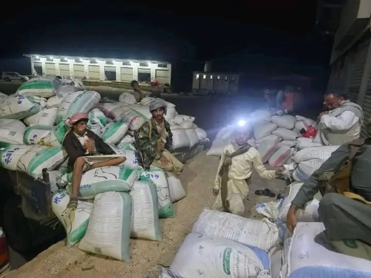 الجوف: مليشيا الحوثي تمنع بيع القمح وتتسبب بخسائر فادحة للمزارعين