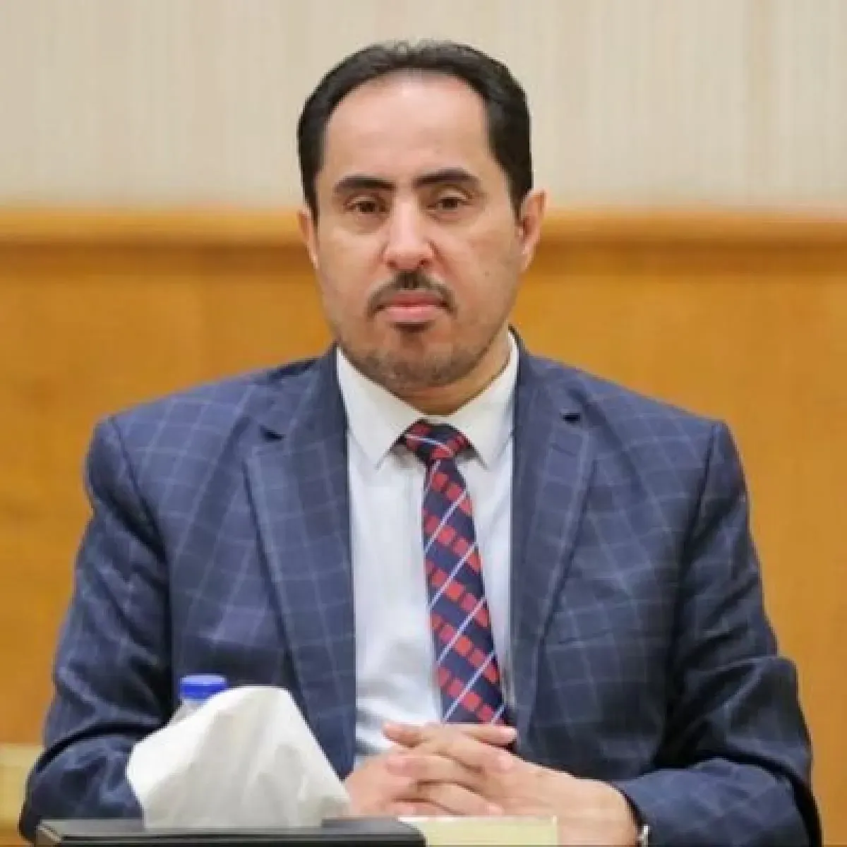 وزير الشباب والرياضة يشيد بالمقاومة الوطنية بقيادة طارق صالح