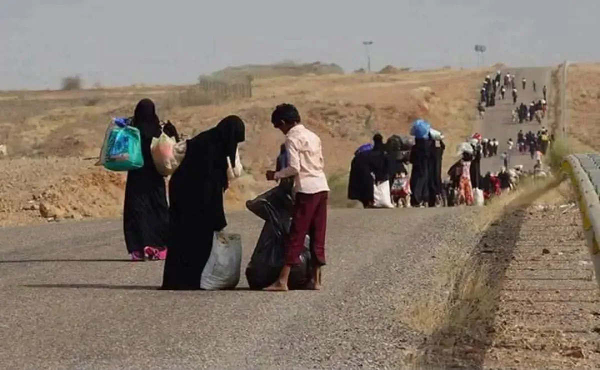 تحالف "رصد" يحذر من تفاقم أزمة النازحين بالساحل الغربي جراء التصعيد الحوثي