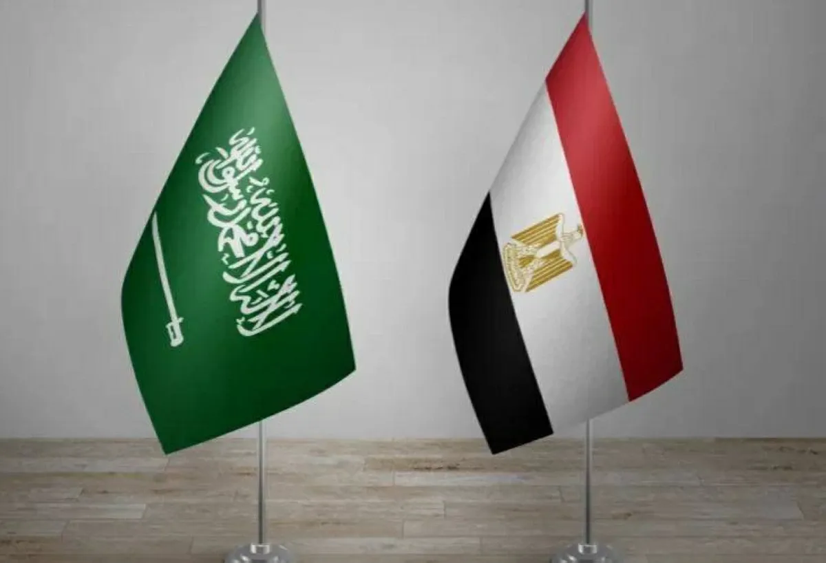مصر تعلن استعدادها لدعم السعودية دون تحفظ ضد هجمات الحوثيين