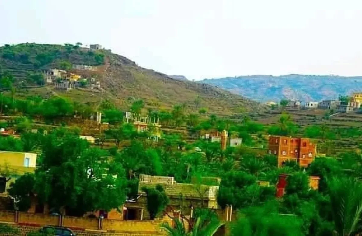 تعز: إدانة واسعة لمجزرة حوثية استهدفت مدنيين في مقبنة
